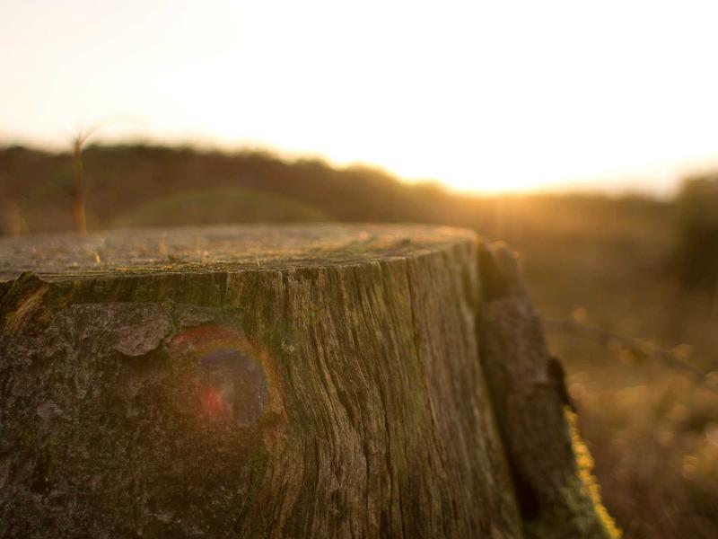 sudoku lifetime access screenshot 3